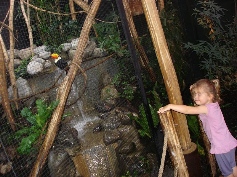 Parc des oiseaux (3)